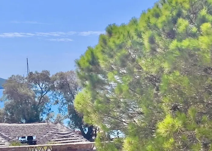 Resort Porto Beach&villas