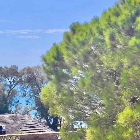 Villa Porto Koundouros Beach And Villas